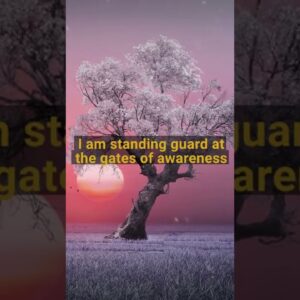 Stand Guard At The Gates Of Awareness #positiveaffirmations #authenticity #motivation