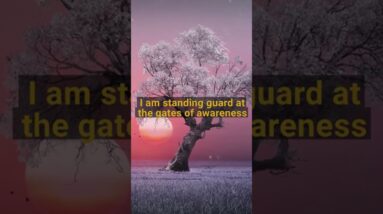 Stand Guard At The Gates Of Awareness #positiveaffirmations #authenticity #motivation